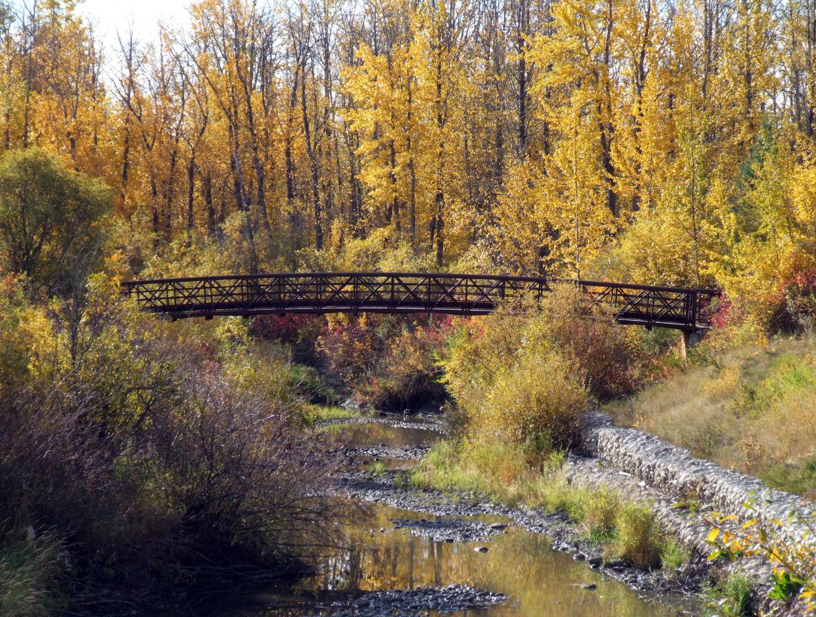 A footbridge crosses a flowing creek surrounded by vibrant yellow and orange autumn trees in a park.